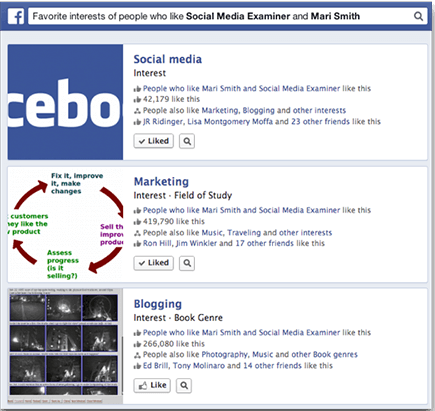 ck-facebook-page-interests-social-media-examiner-mari-smith